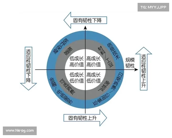 服务体系韧性增强，应对不确定性能力提升